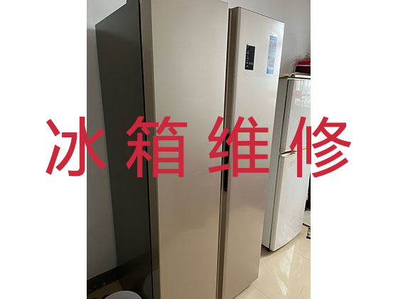 青岛专业冰箱安装